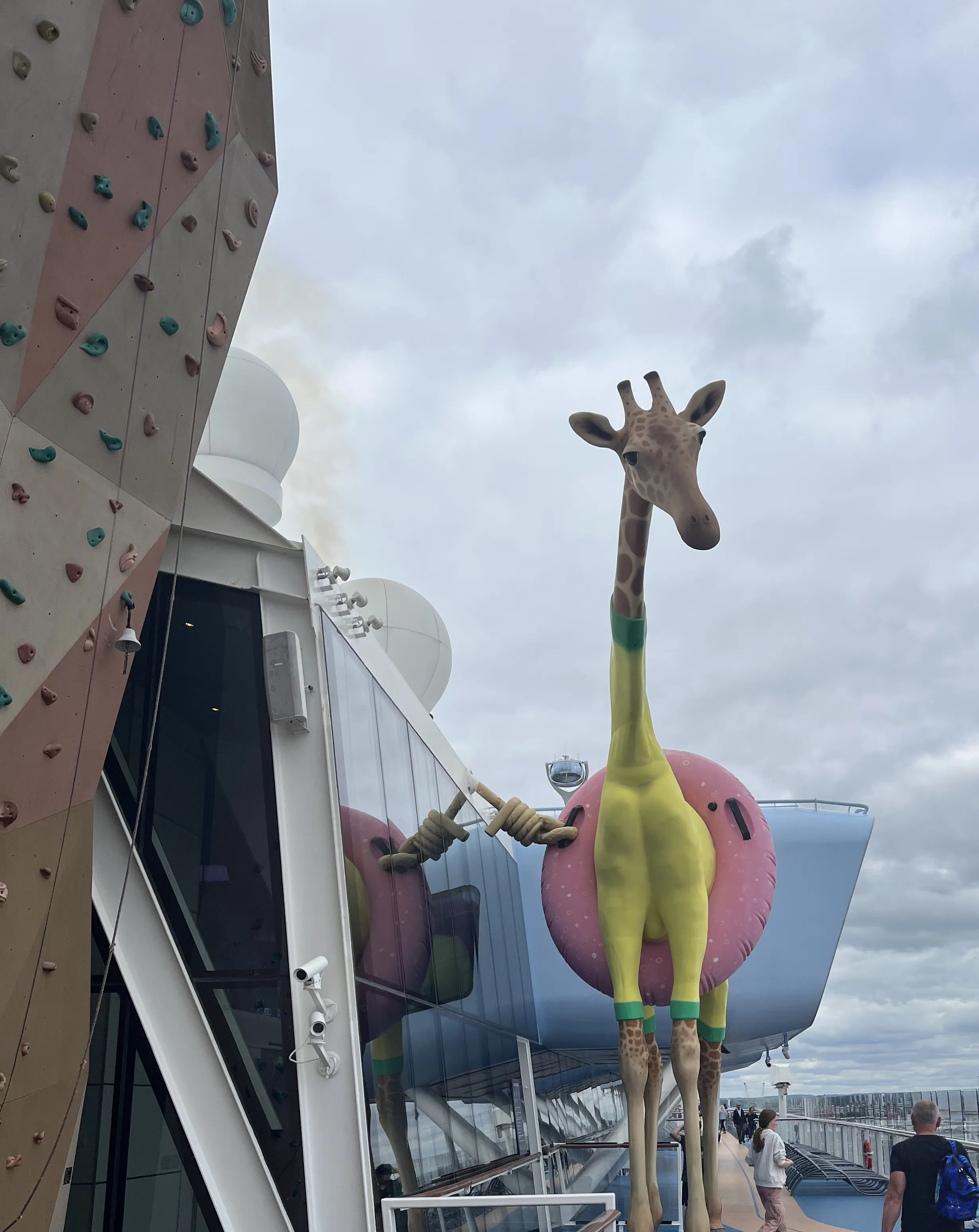 An image of a rock climbing wall on a cruise ship